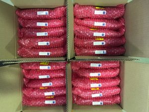 Boxes of padded anti-static Cisco SFP bags