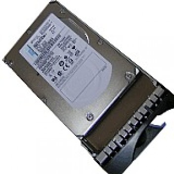 IBM 2TB 7200 SATA E-DDM