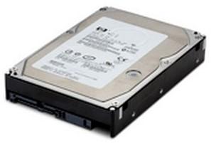 HPE 1TB 6G SATA 3.5in NON HOT PLUG (NHP) HDD