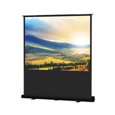 Da-Lite 100