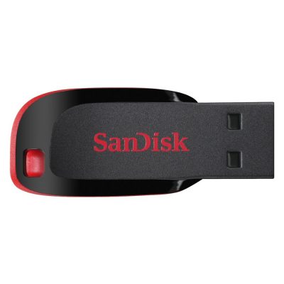 SanDisk Cruzer Blade 16GB USB Flash Drive