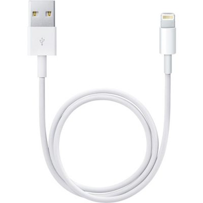 Lightning to USB Cable (0.5 m) ME291AM/A