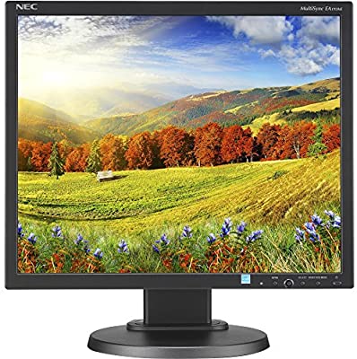 NEC AccuSync AS194Mi-BK - LED monitor - 19