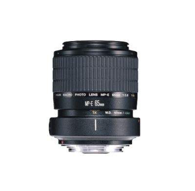 Canon Macro Lens - MP-E65mm f/2.8 1-5x Macro