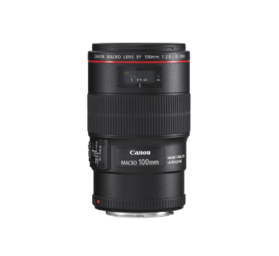 Canon Macro Lens - EF 100mm f/2.8L Macro IS USM