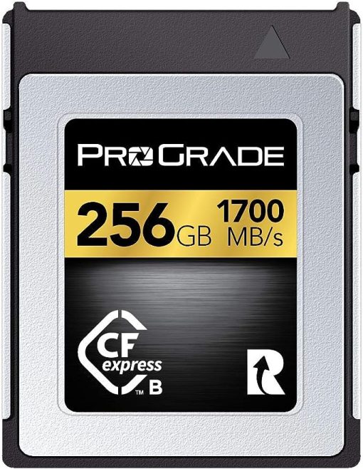 ProGrade Digital 256GB CFexpress Type B Memory Card (Gold)