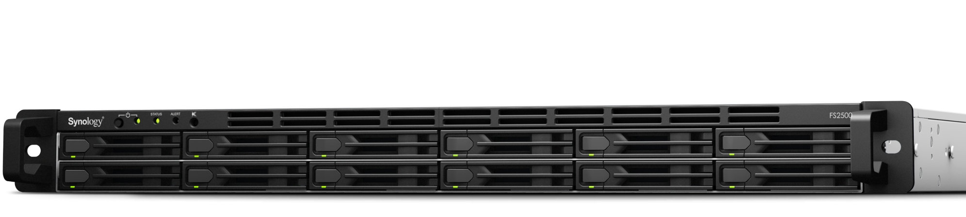 Synology FlashStation FS2500