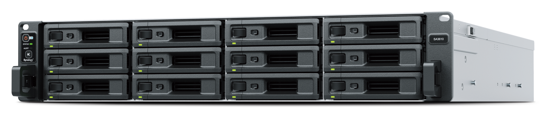Synology SA3410