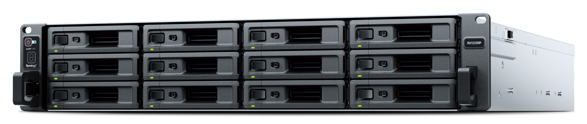 Synology RackStation RX1225RP