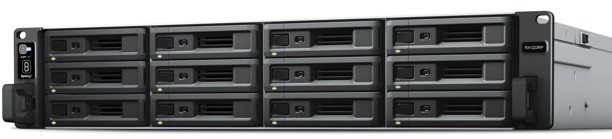 Synology RackStation RX1223RP