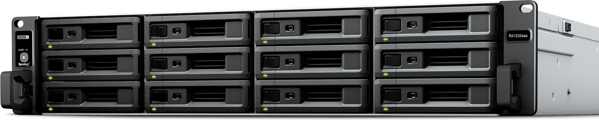 Synology RackStation RX1222sas